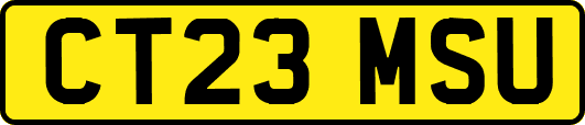 CT23MSU