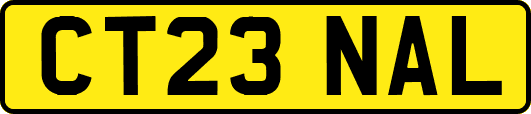 CT23NAL