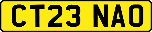 CT23NAO