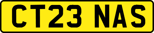 CT23NAS