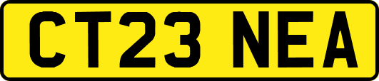 CT23NEA