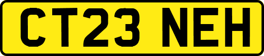 CT23NEH