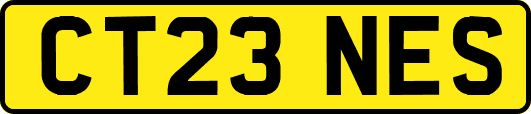 CT23NES