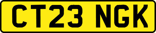 CT23NGK