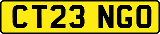CT23NGO