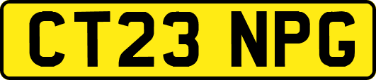 CT23NPG