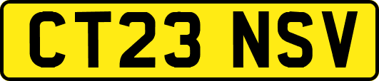 CT23NSV