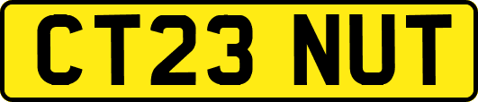 CT23NUT