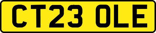 CT23OLE