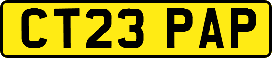 CT23PAP
