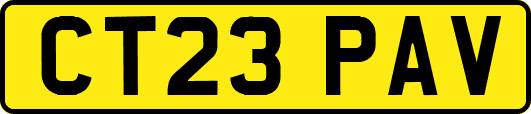 CT23PAV