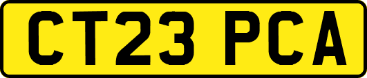 CT23PCA