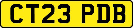 CT23PDB