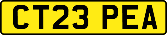 CT23PEA