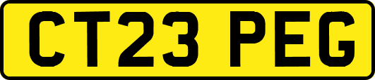 CT23PEG
