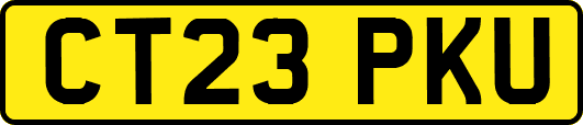 CT23PKU