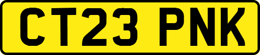 CT23PNK