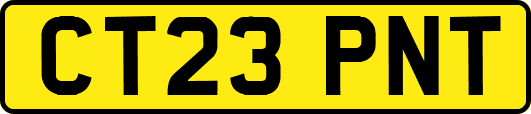 CT23PNT