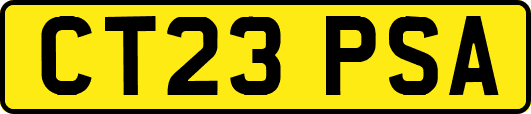 CT23PSA