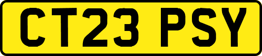 CT23PSY