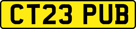 CT23PUB