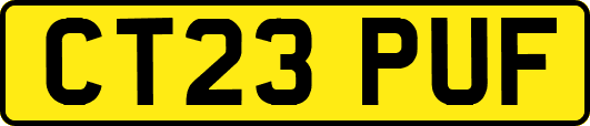 CT23PUF