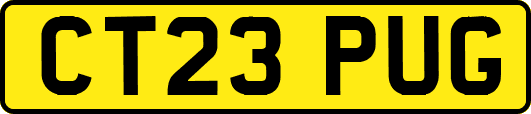 CT23PUG