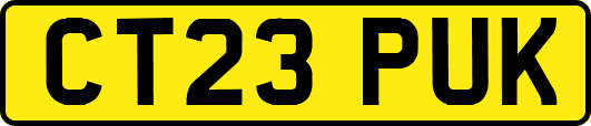 CT23PUK