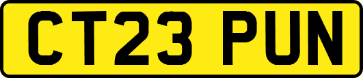 CT23PUN