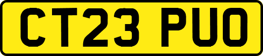 CT23PUO