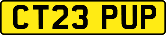 CT23PUP
