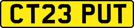 CT23PUT