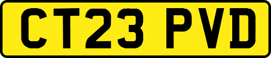 CT23PVD
