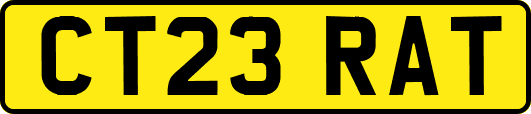 CT23RAT
