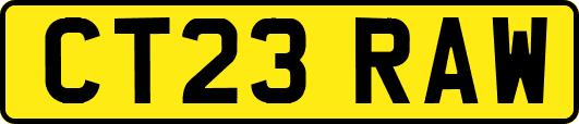 CT23RAW
