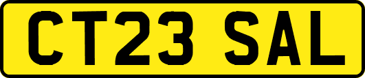 CT23SAL