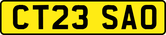 CT23SAO