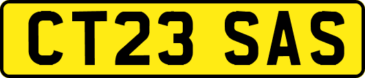 CT23SAS