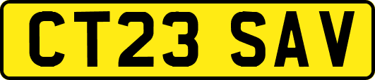 CT23SAV
