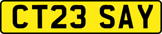 CT23SAY