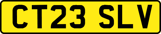 CT23SLV