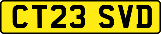 CT23SVD