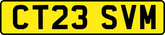 CT23SVM