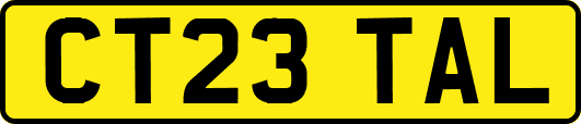 CT23TAL