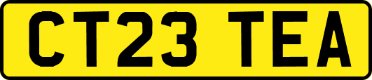 CT23TEA