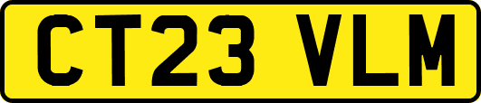 CT23VLM