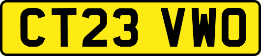 CT23VWO