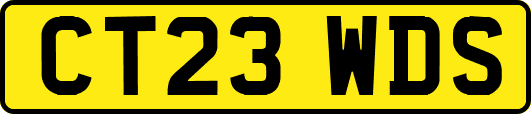 CT23WDS