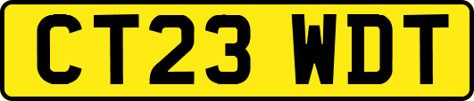 CT23WDT