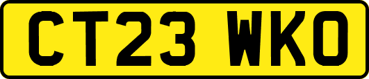 CT23WKO